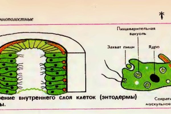 Кокаин гашиш купить